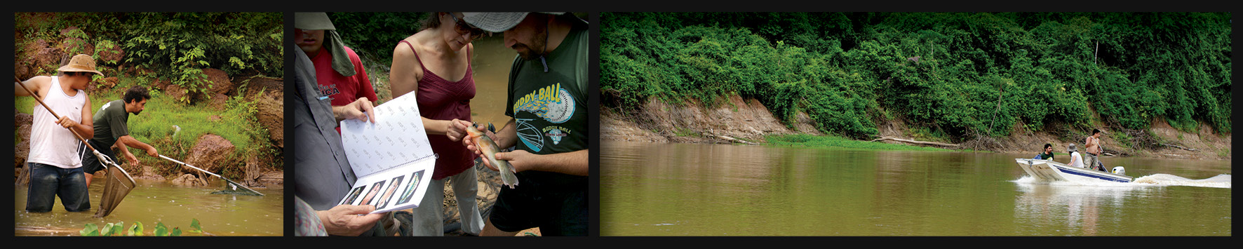 Amazonian Freshwater Fish Biodiversity